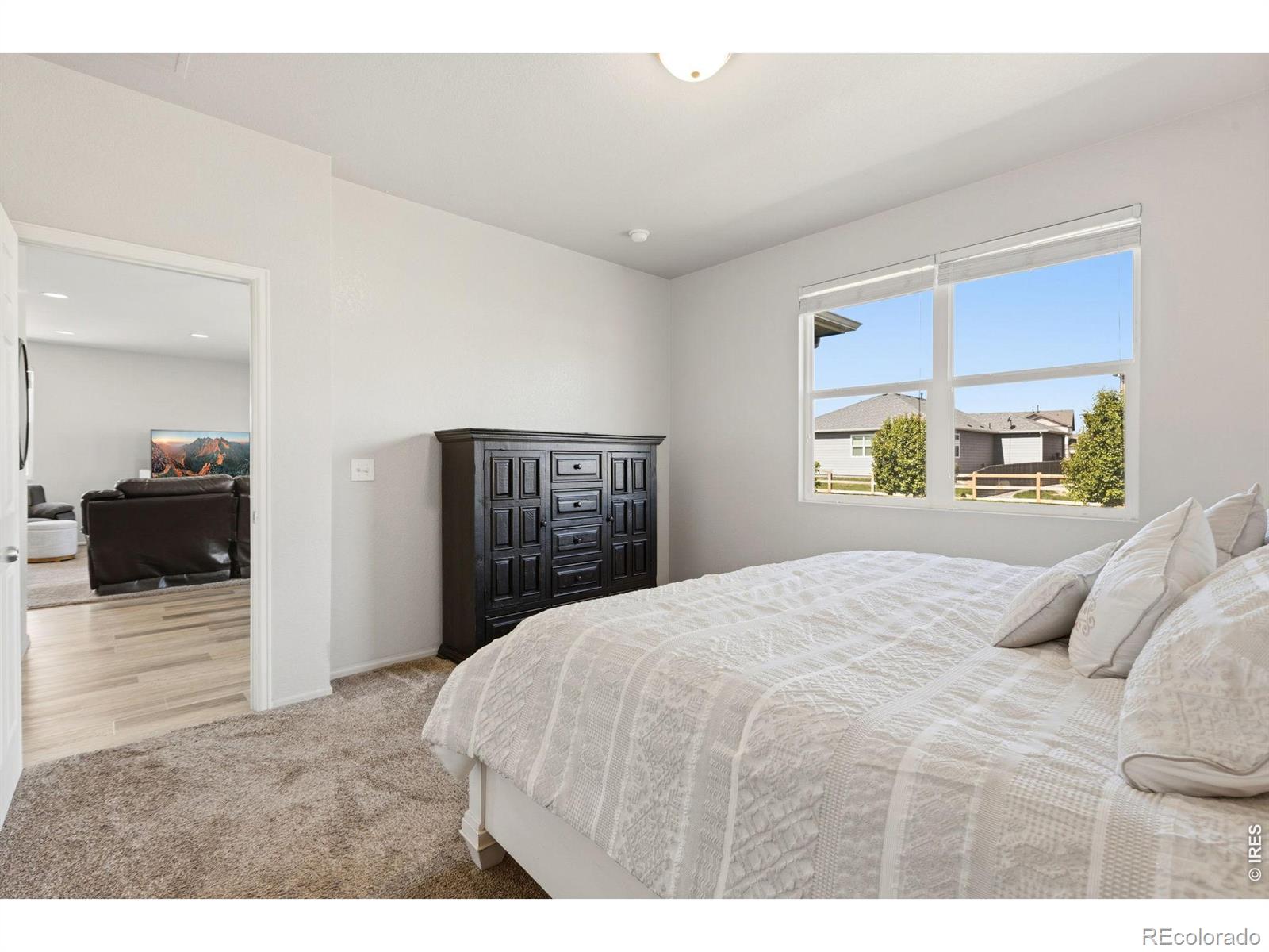 MLS Image #19 for 902  pierson court,windsor, Colorado