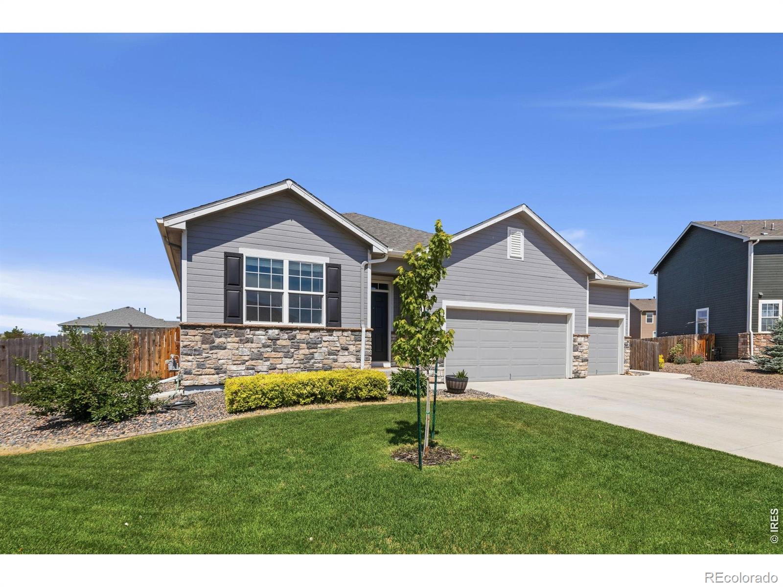 MLS Image #2 for 902  pierson court,windsor, Colorado