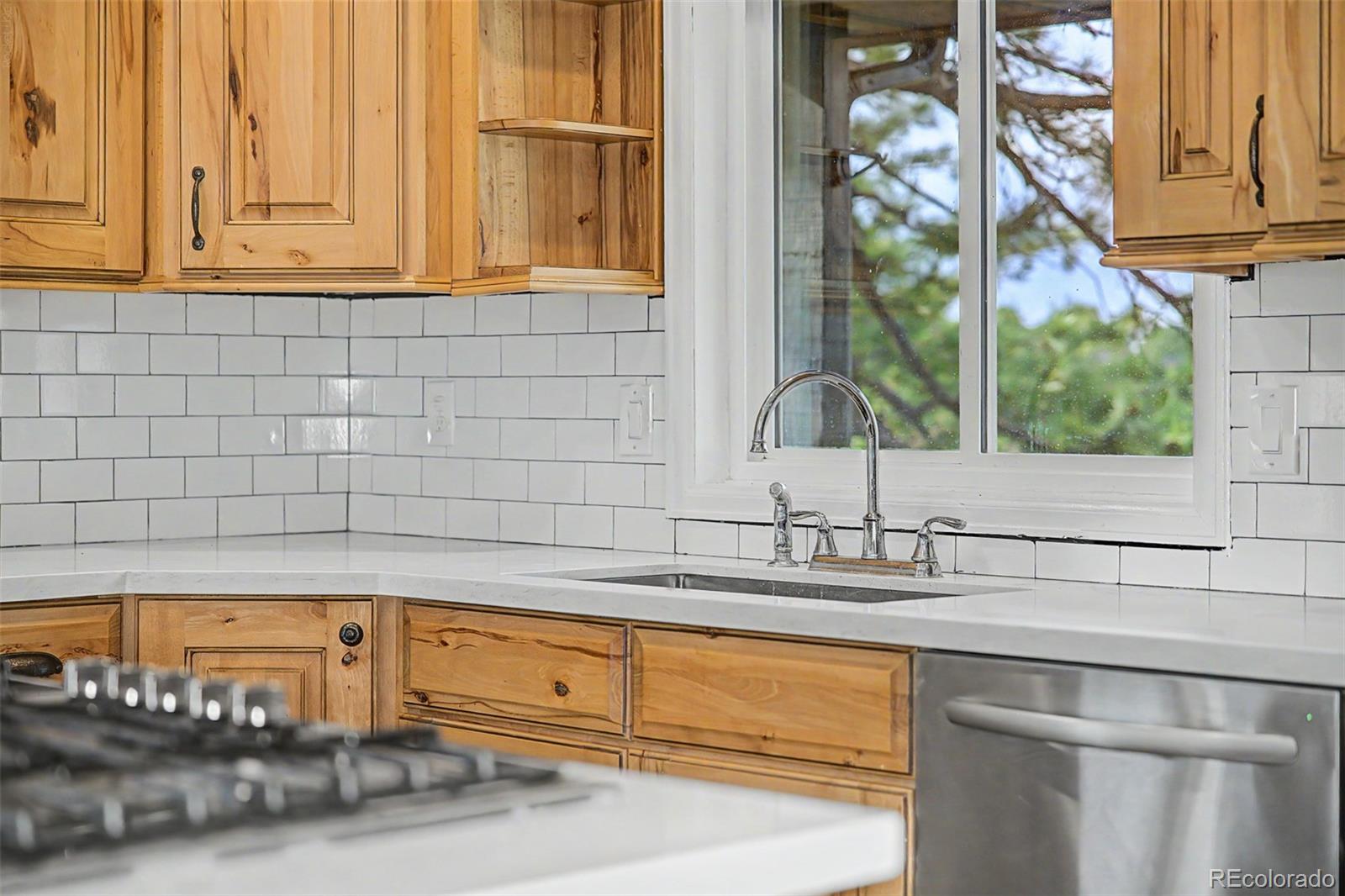 MLS Image #15 for 8286  lightening view drive,parker, Colorado
