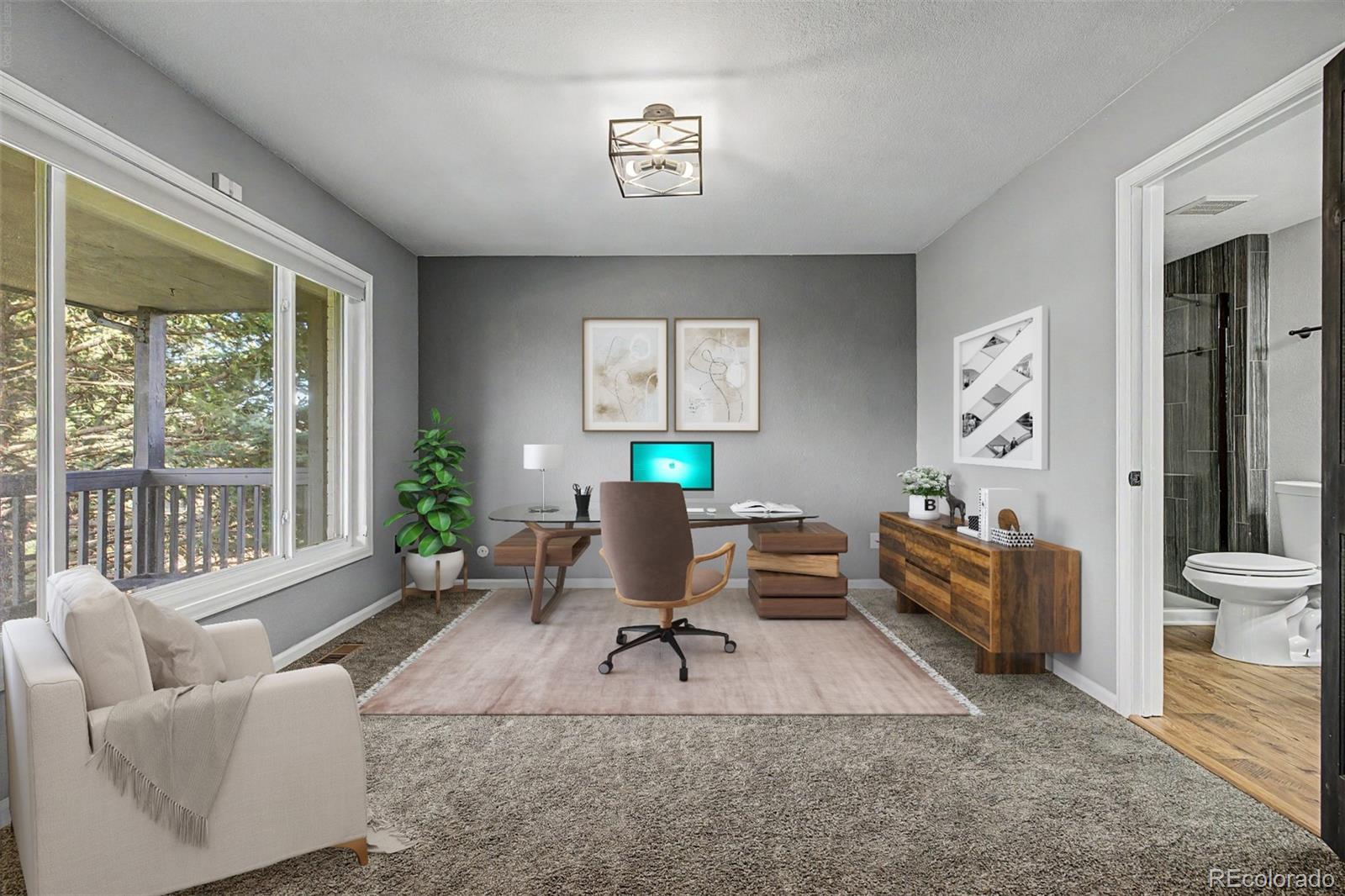 MLS Image #17 for 8286  lightening view drive,parker, Colorado