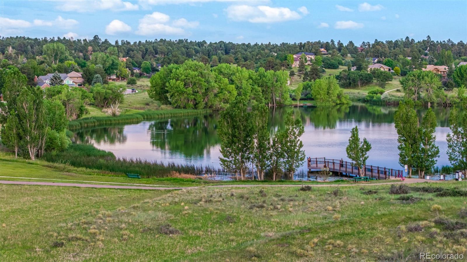 MLS Image #45 for 8286  lightening view drive,parker, Colorado