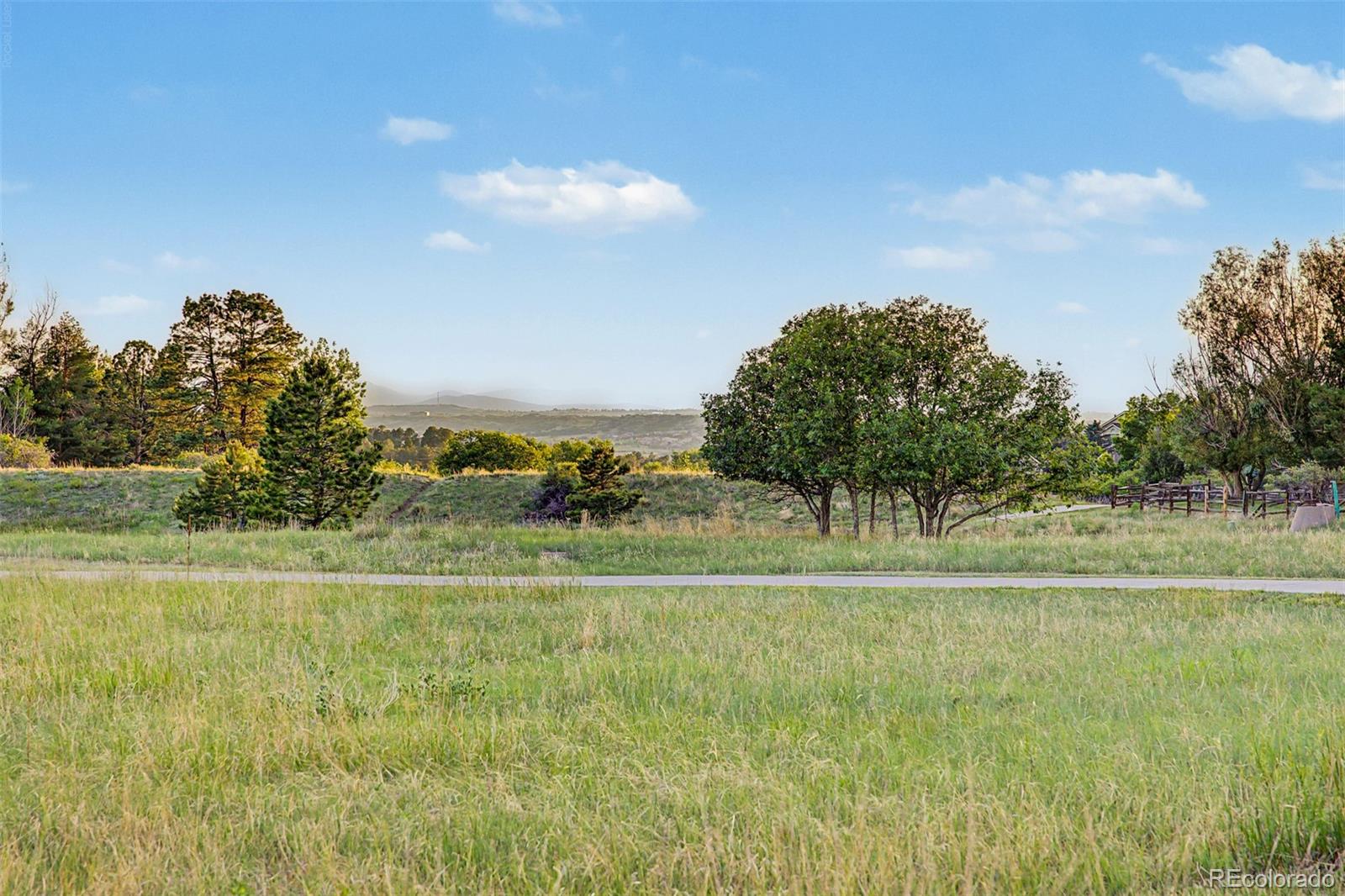 MLS Image #46 for 8286  lightening view drive,parker, Colorado