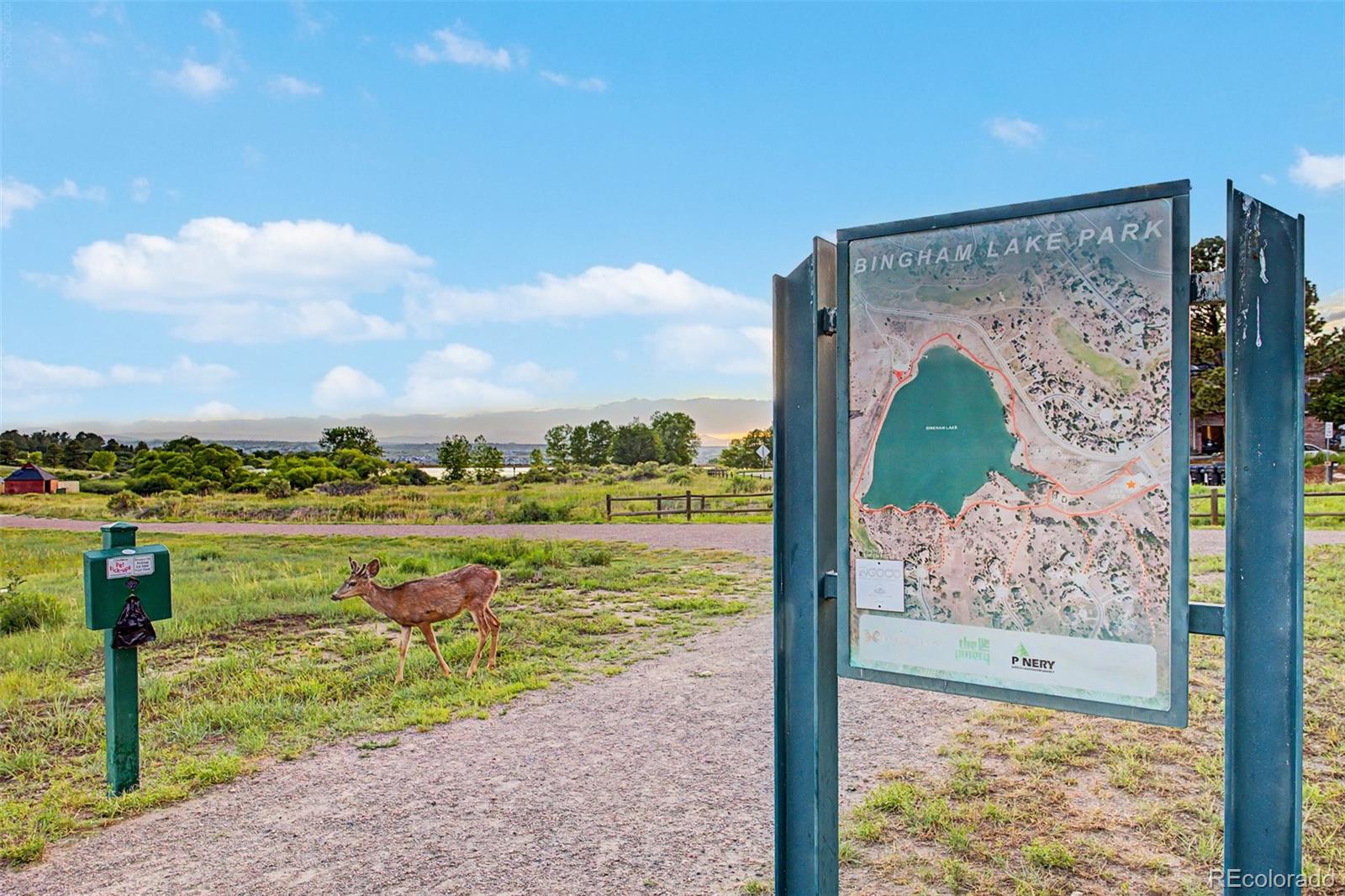 MLS Image #47 for 8286  lightening view drive,parker, Colorado