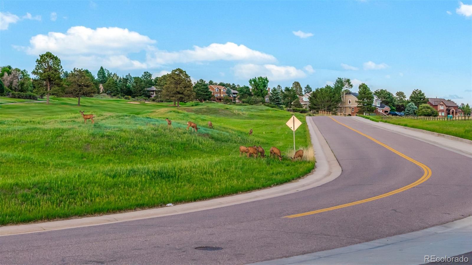 MLS Image #49 for 8286  lightening view drive,parker, Colorado