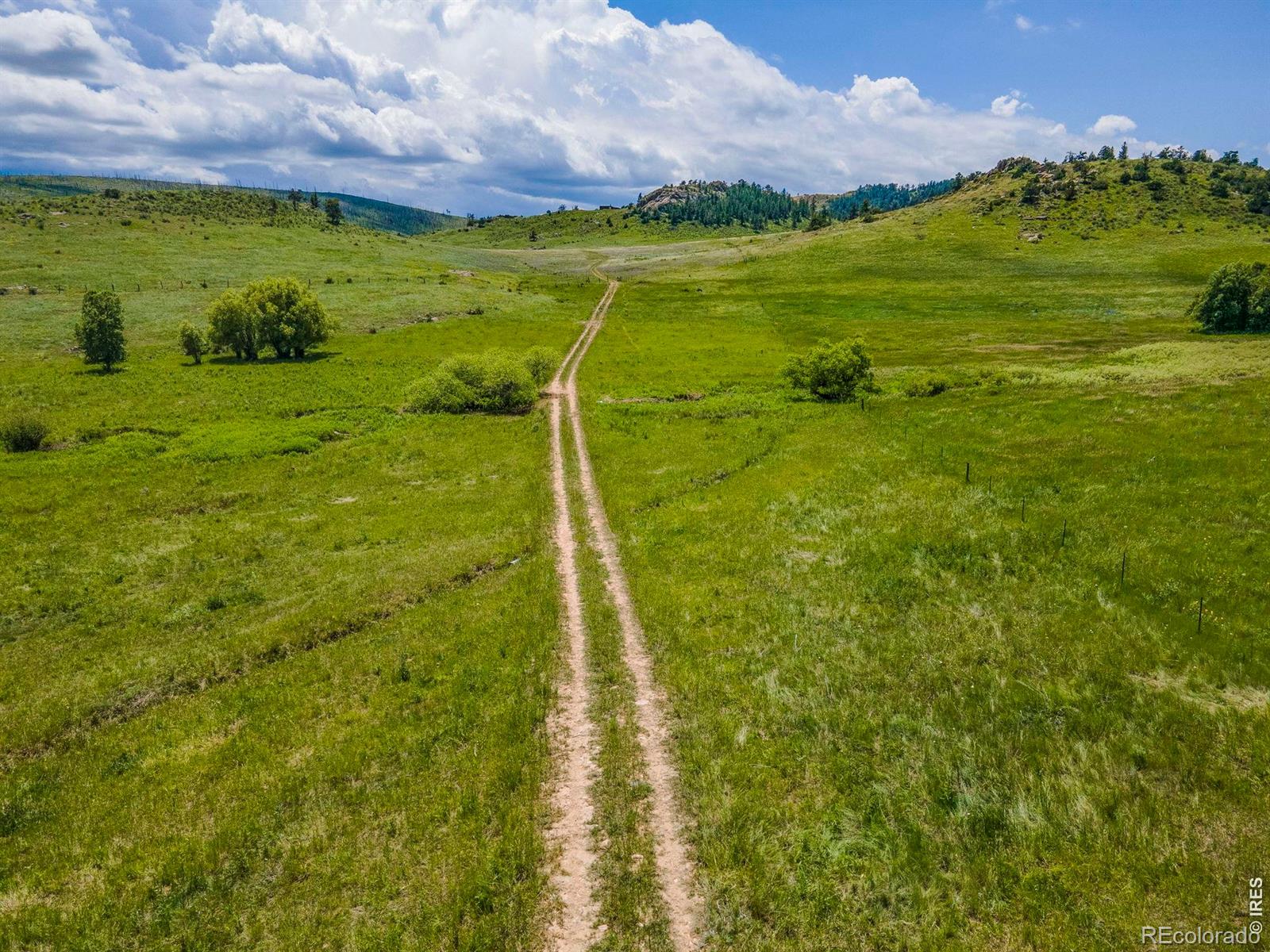 MLS Image #38 for 11881 w county road 74e ,livermore, Colorado