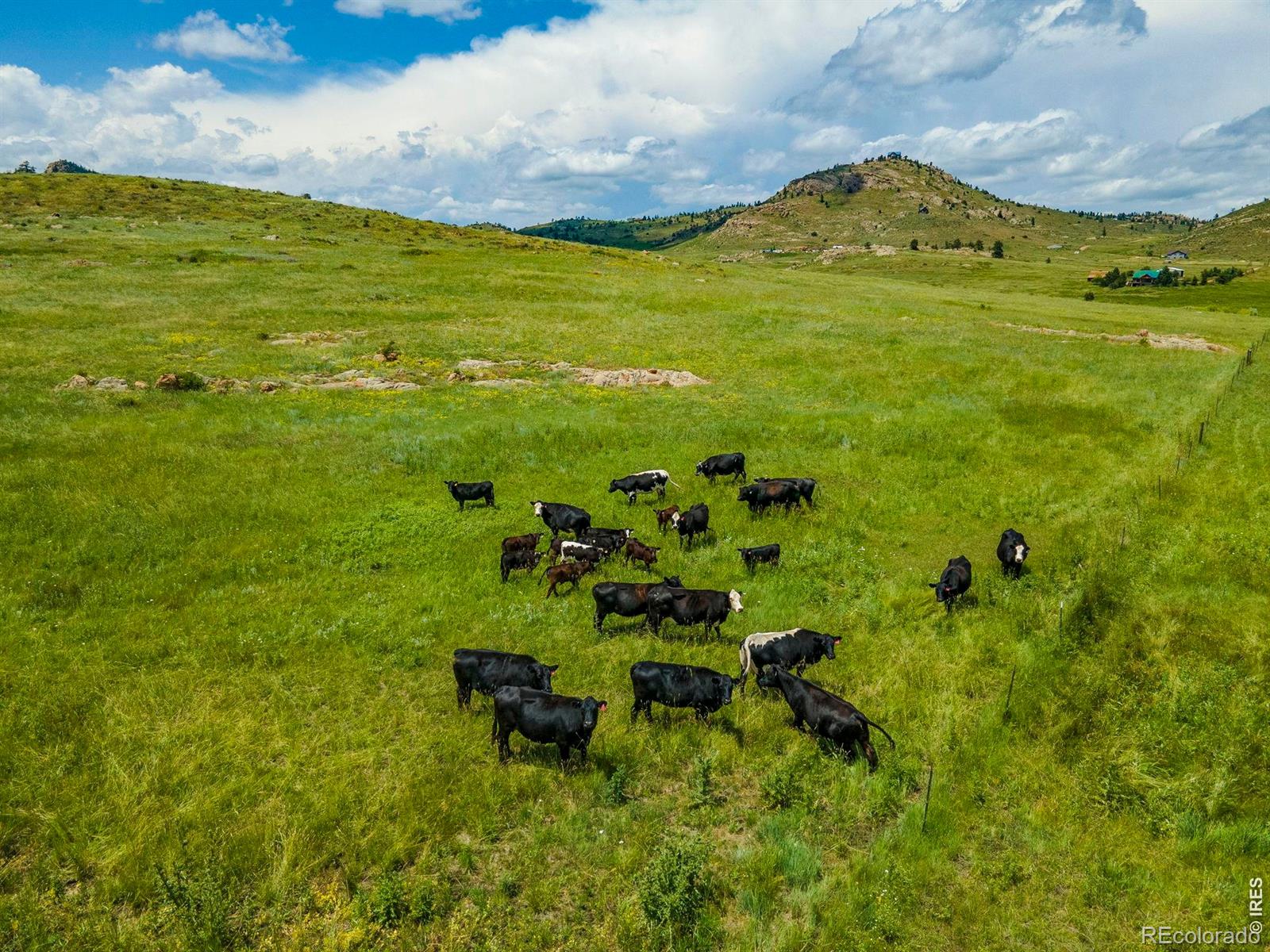 MLS Image #40 for 11881 w county road 74e ,livermore, Colorado