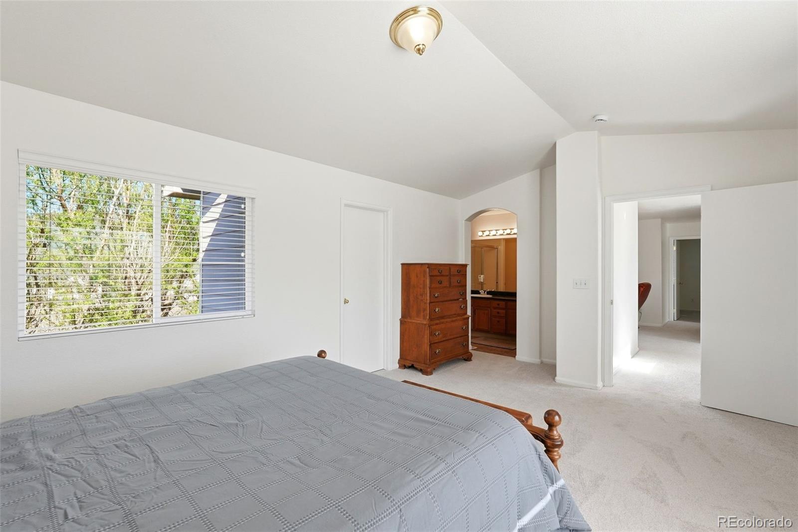 MLS Image #25 for 17140  snowwood drive,monument, Colorado