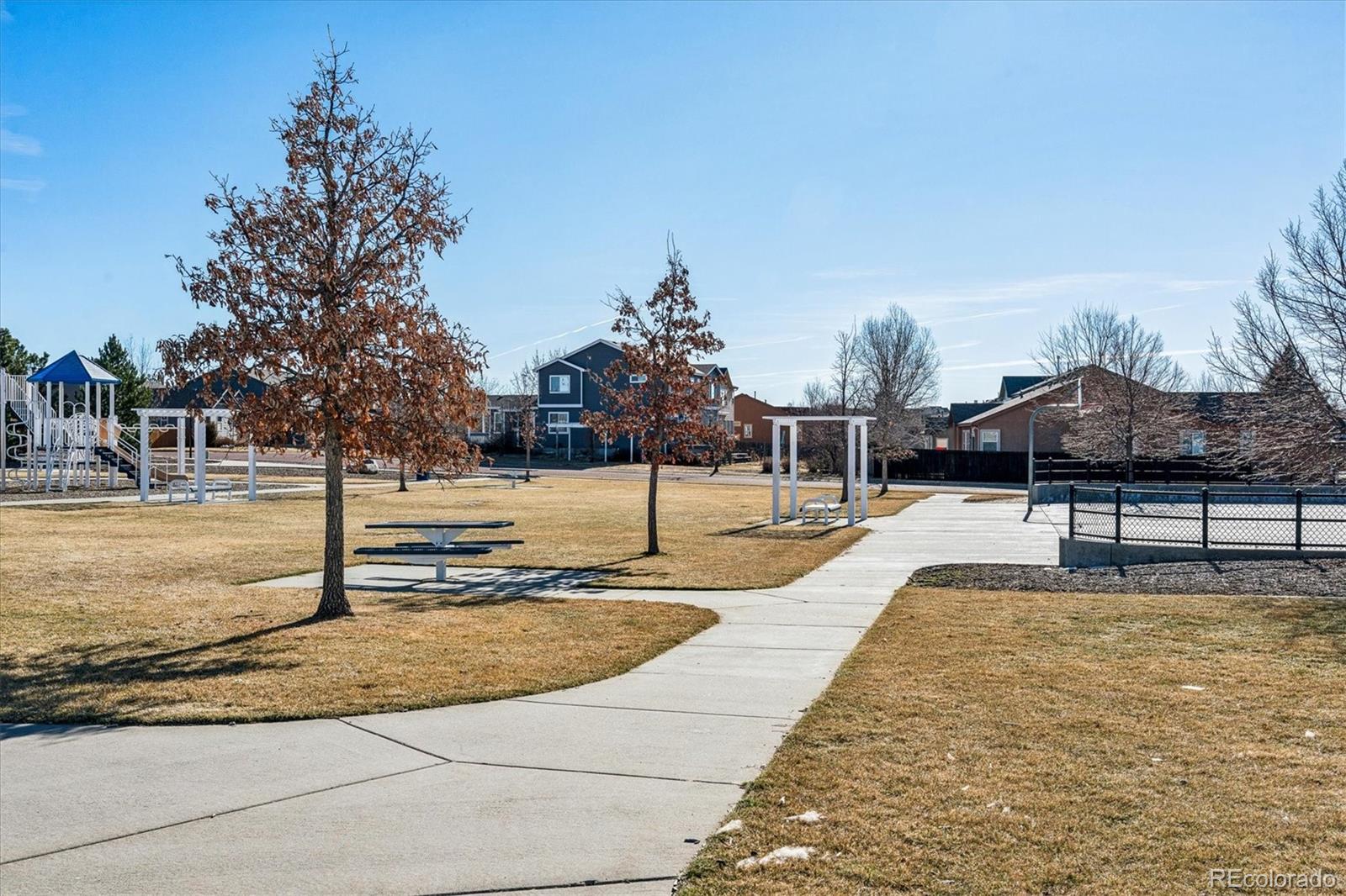 MLS Image #18 for 6610  hanah rose road,colorado springs, Colorado
