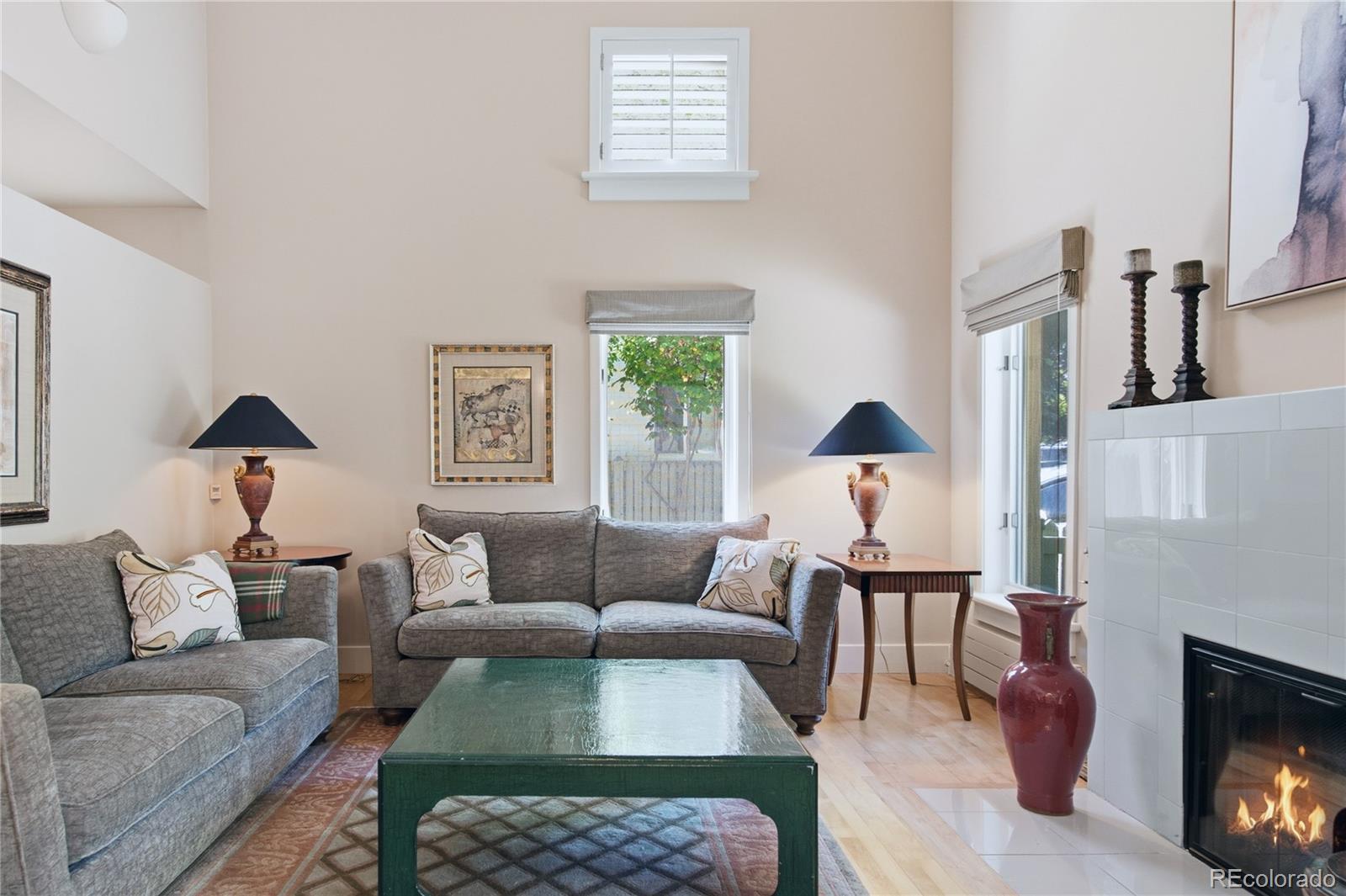 MLS Image #3 for 336  cherry street,denver, Colorado