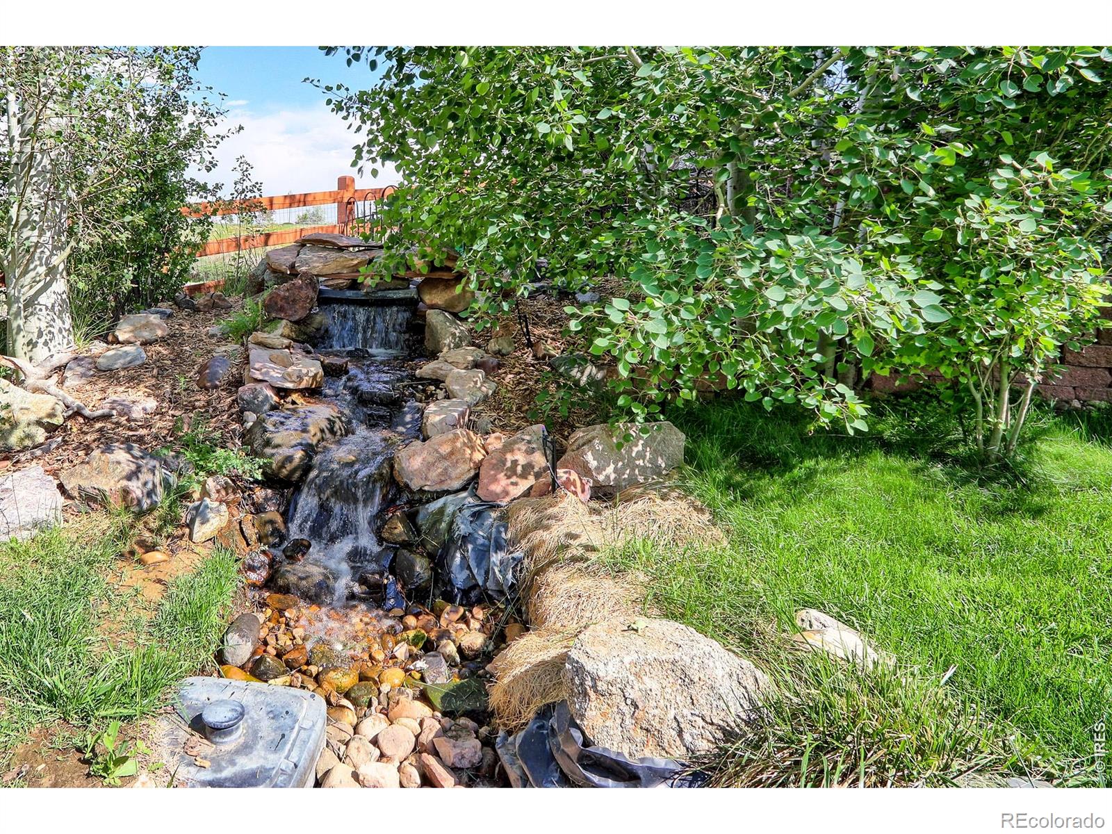 MLS Image #38 for 14641  prairie sky lane,broomfield, Colorado