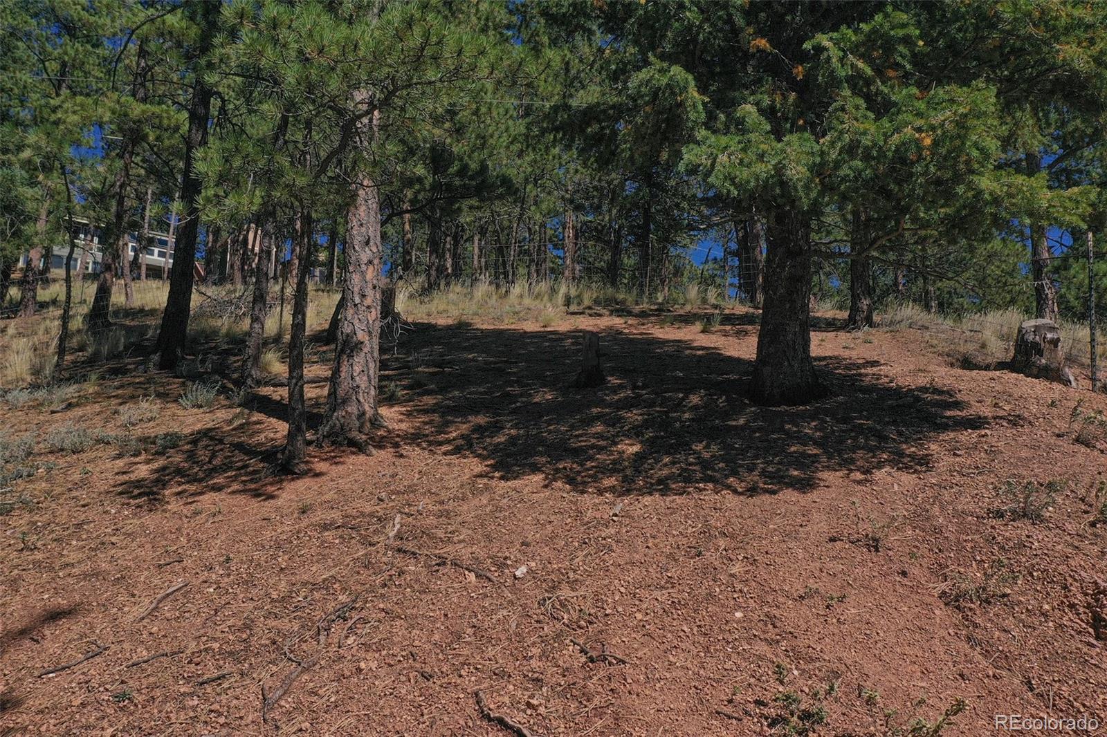 MLS Image #29 for 181  valley lane,woodland park, Colorado