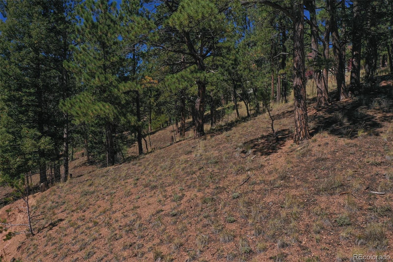 MLS Image #30 for 181  valley lane,woodland park, Colorado