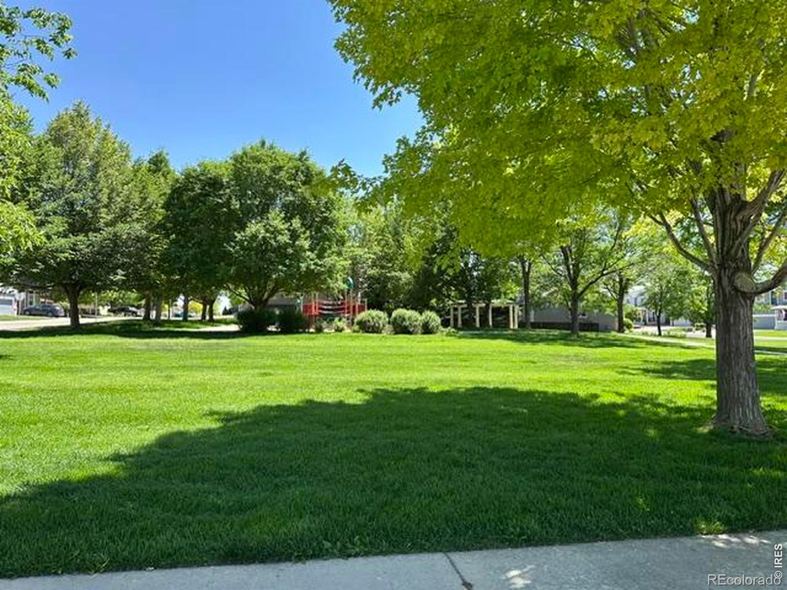MLS Image #22 for 417  settler way,johnstown, Colorado