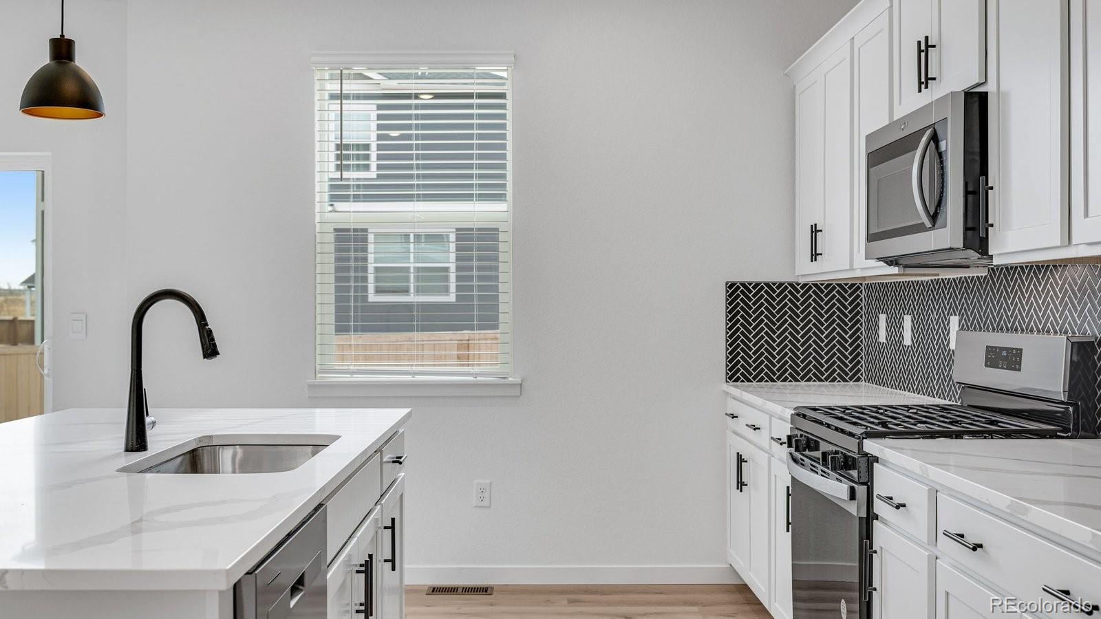 MLS Image #11 for 14274  beebalm avenue,parker, Colorado
