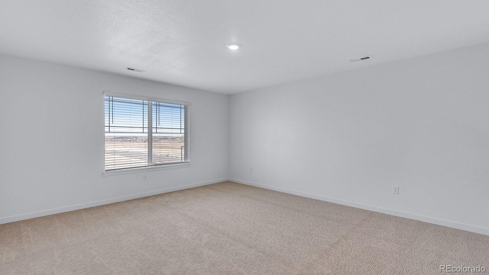 MLS Image #12 for 14274  beebalm avenue,parker, Colorado