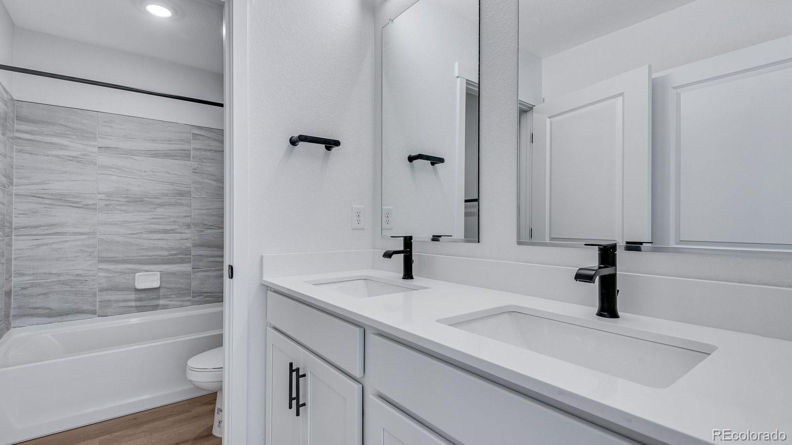MLS Image #14 for 14274  beebalm avenue,parker, Colorado
