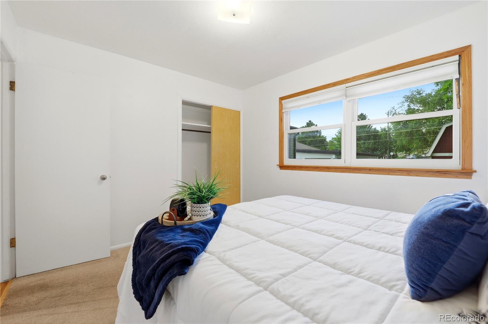 MLS Image #14 for 3202 e la salle street,colorado springs, Colorado