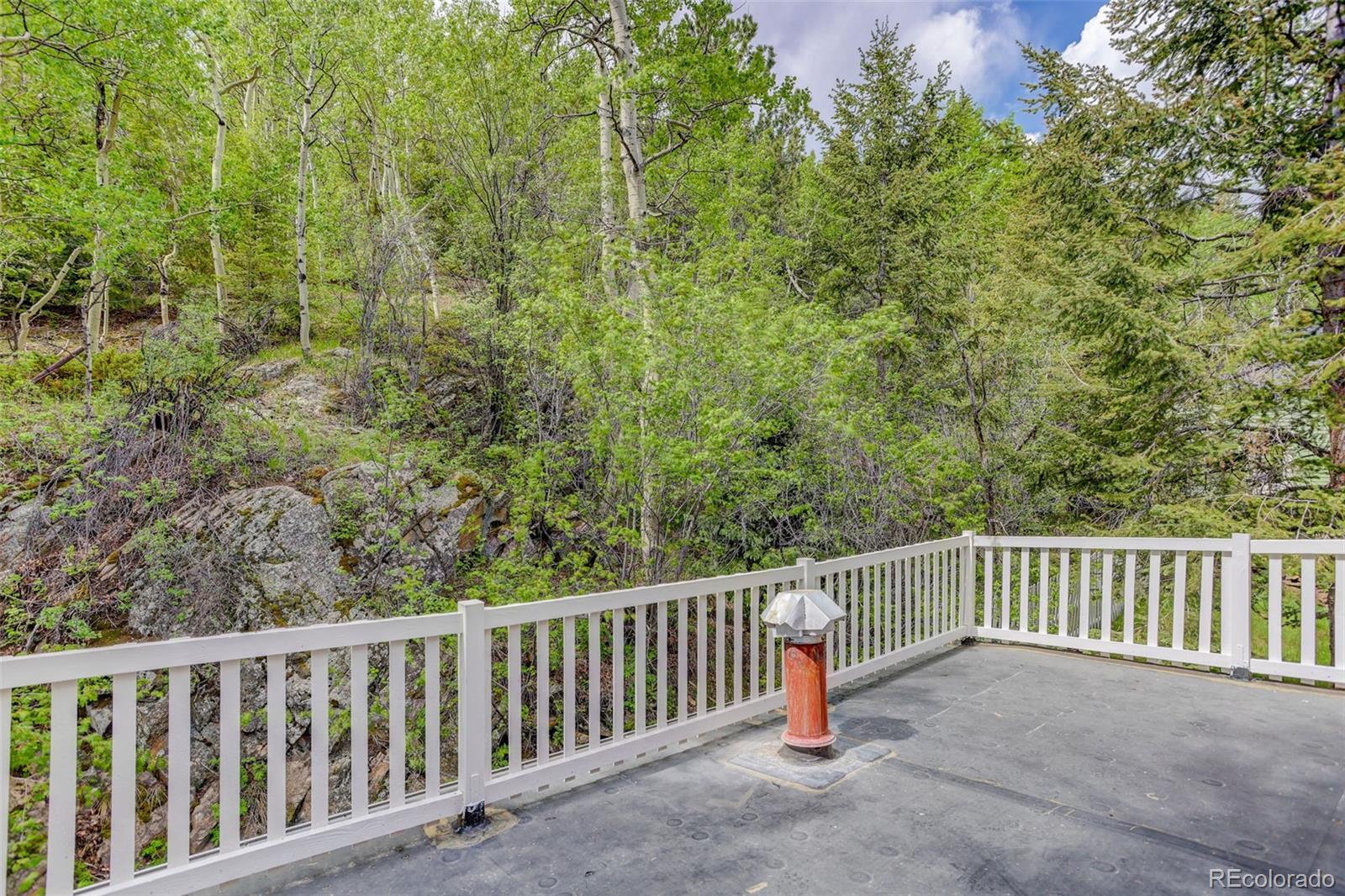 MLS Image #13 for 222  eureka street,central city, Colorado