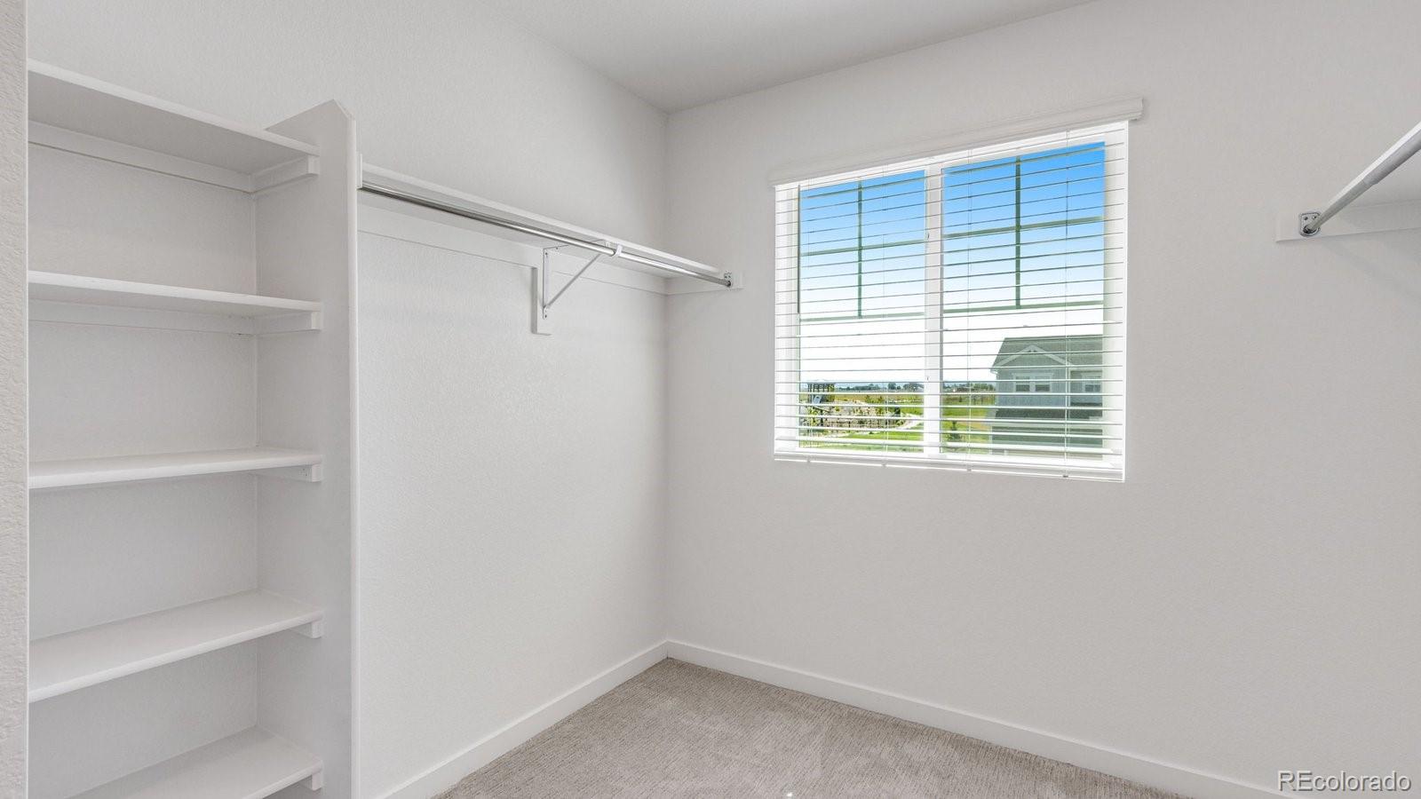 MLS Image #19 for 715  ayrshire road,johnstown, Colorado