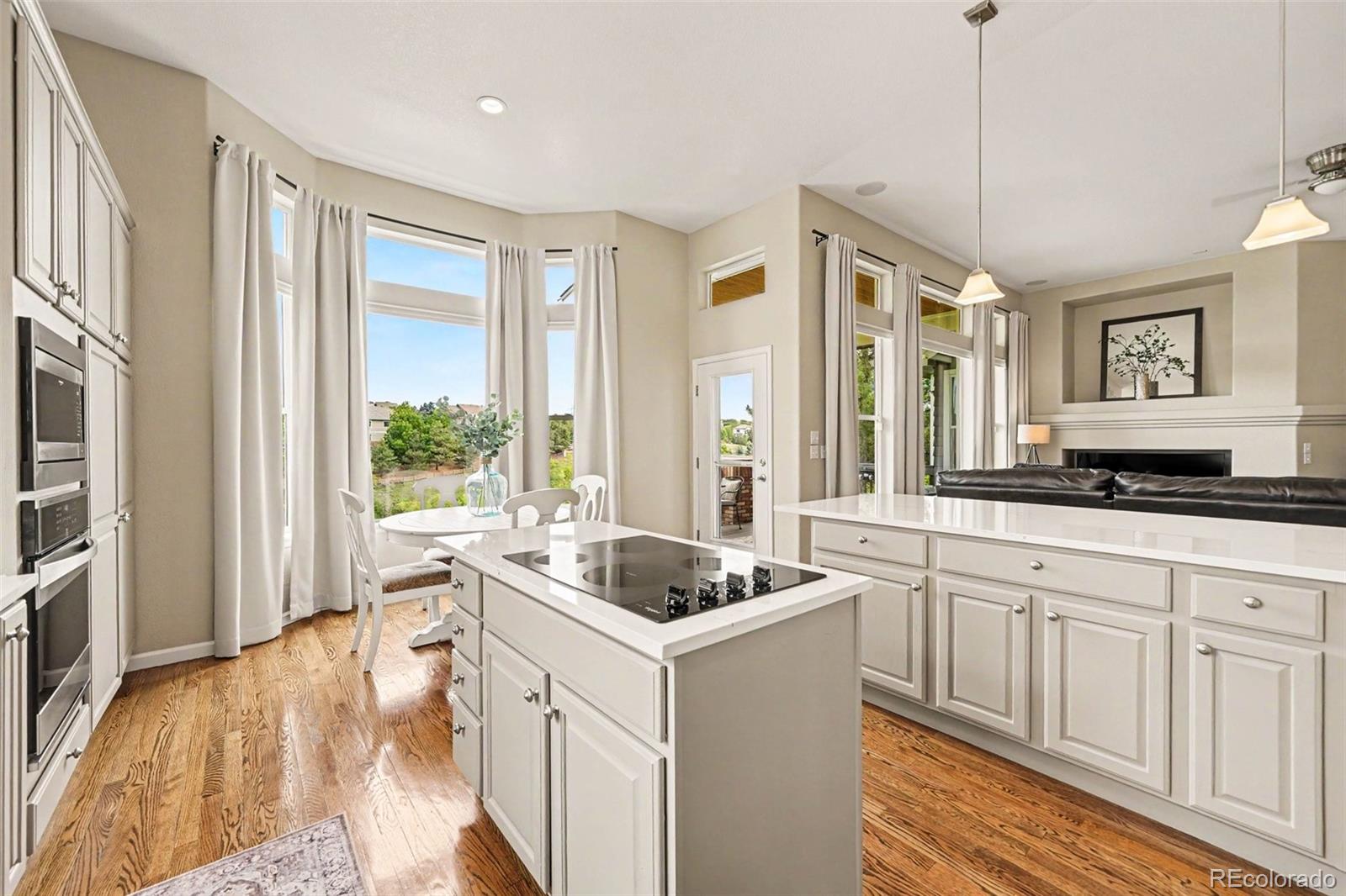 MLS Image #2 for 8549  winter berry drive,castle rock, Colorado