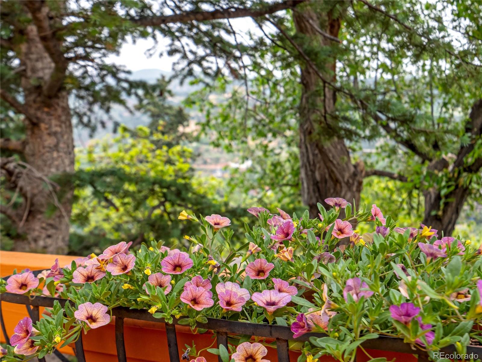 MLS Image #23 for 902  high road,manitou springs, Colorado