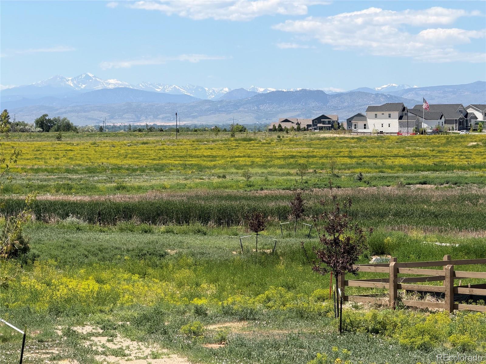 MLS Image #6 for 1365  weller court,timnath, Colorado