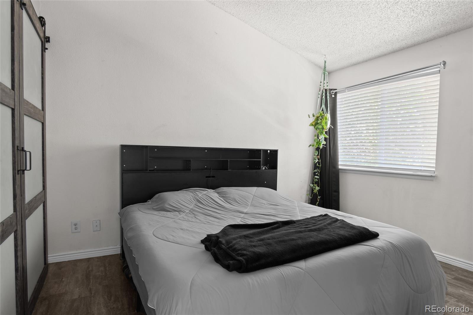 MLS Image #6 for 5301 e aspen avenue,castle rock, Colorado