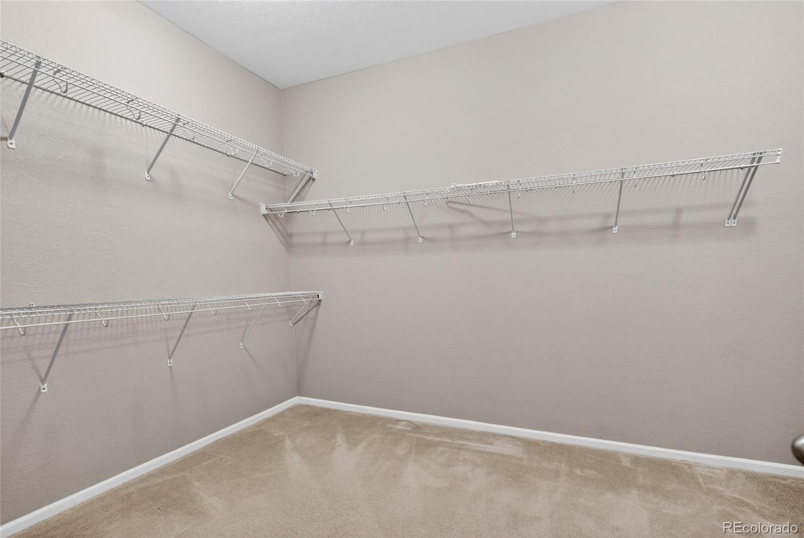 MLS Image #17 for 2920  bagpipe lane,castle rock, Colorado
