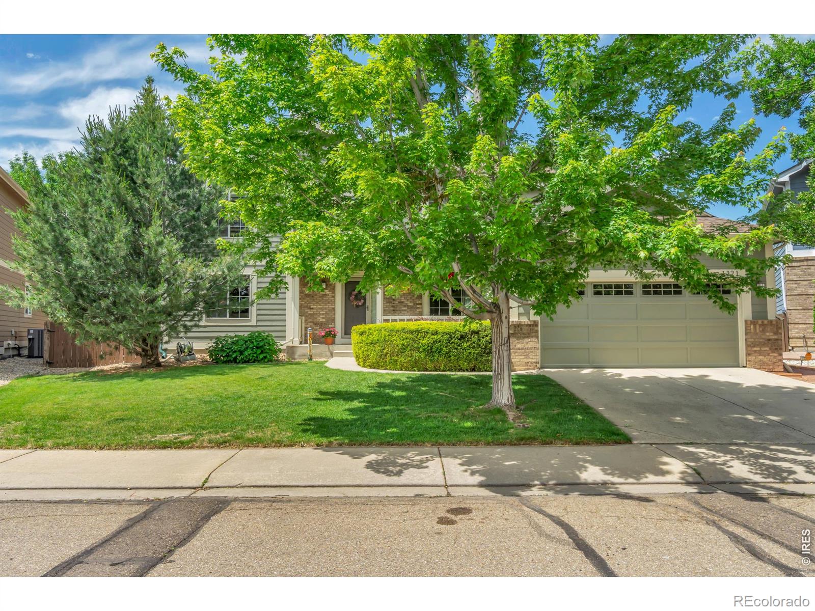 MLS Image #0 for 1321  wildrose court,longmont, Colorado