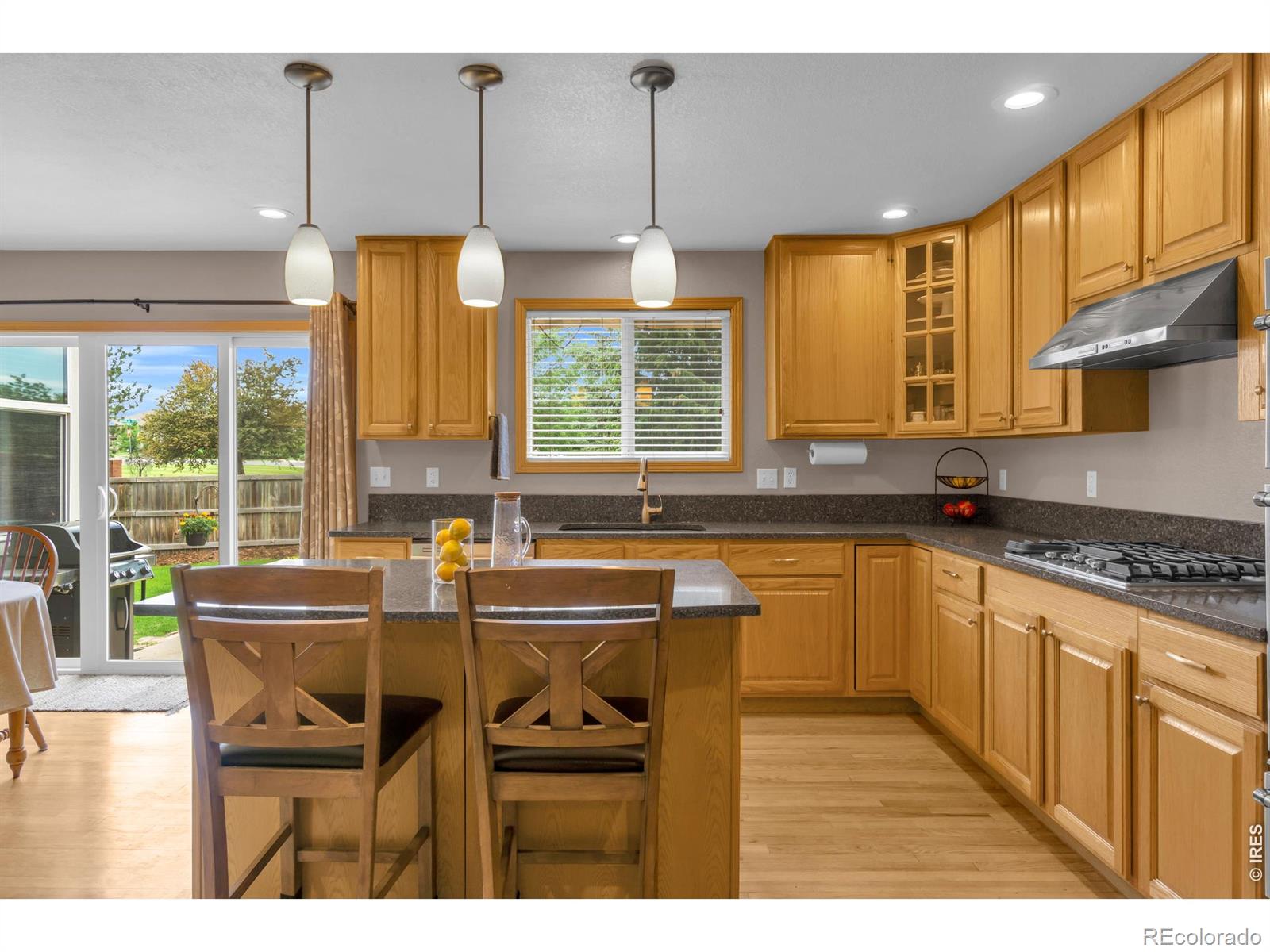 MLS Image #13 for 1321  wildrose court,longmont, Colorado