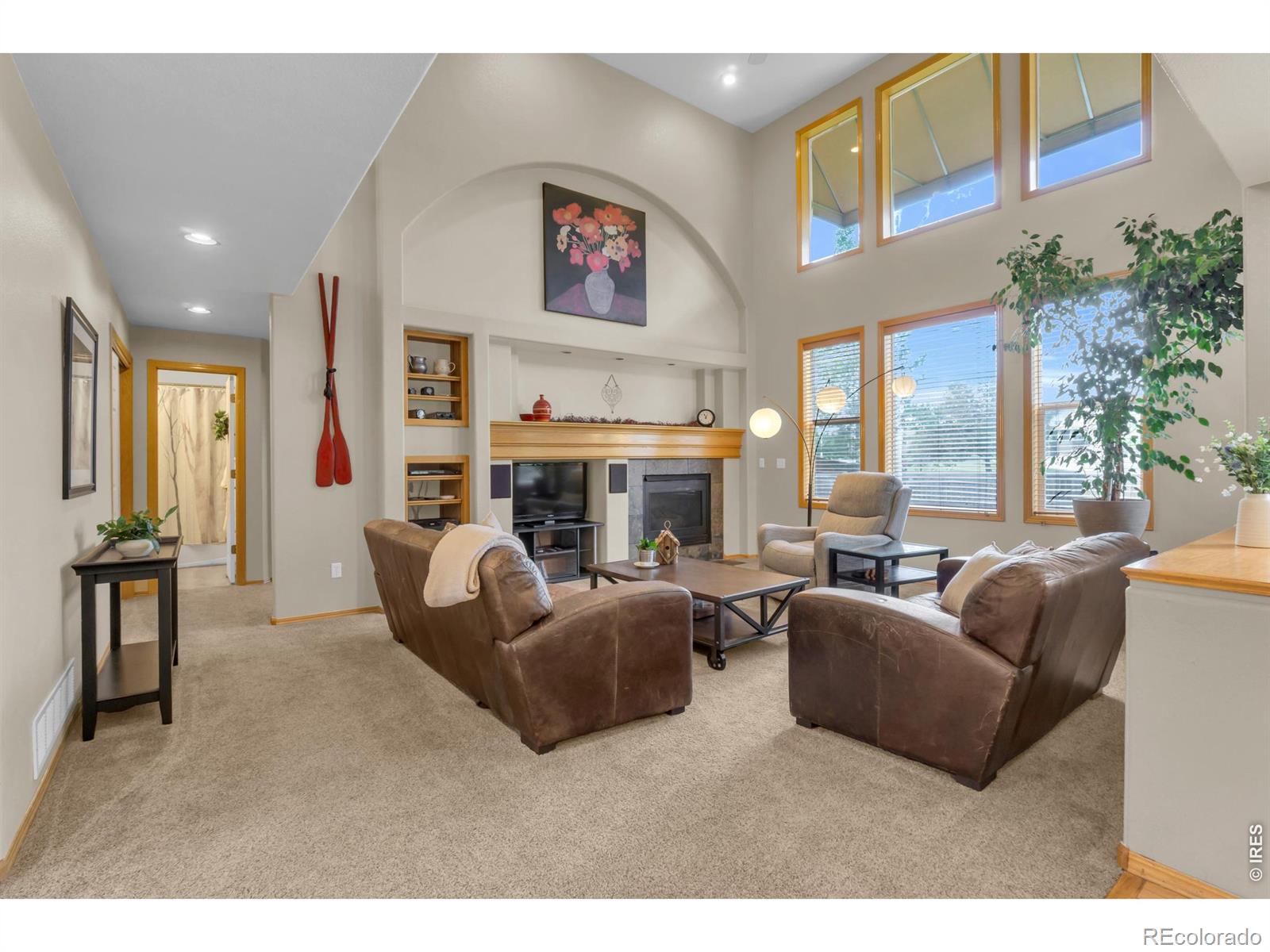 MLS Image #19 for 1321  wildrose court,longmont, Colorado