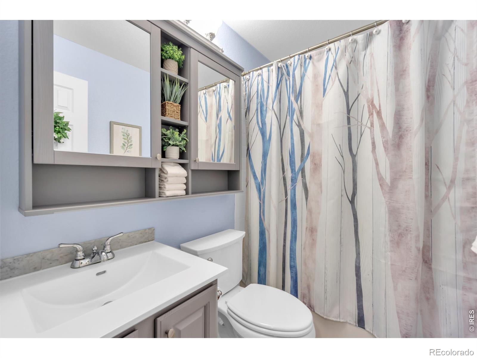 MLS Image #21 for 1321  wildrose court,longmont, Colorado