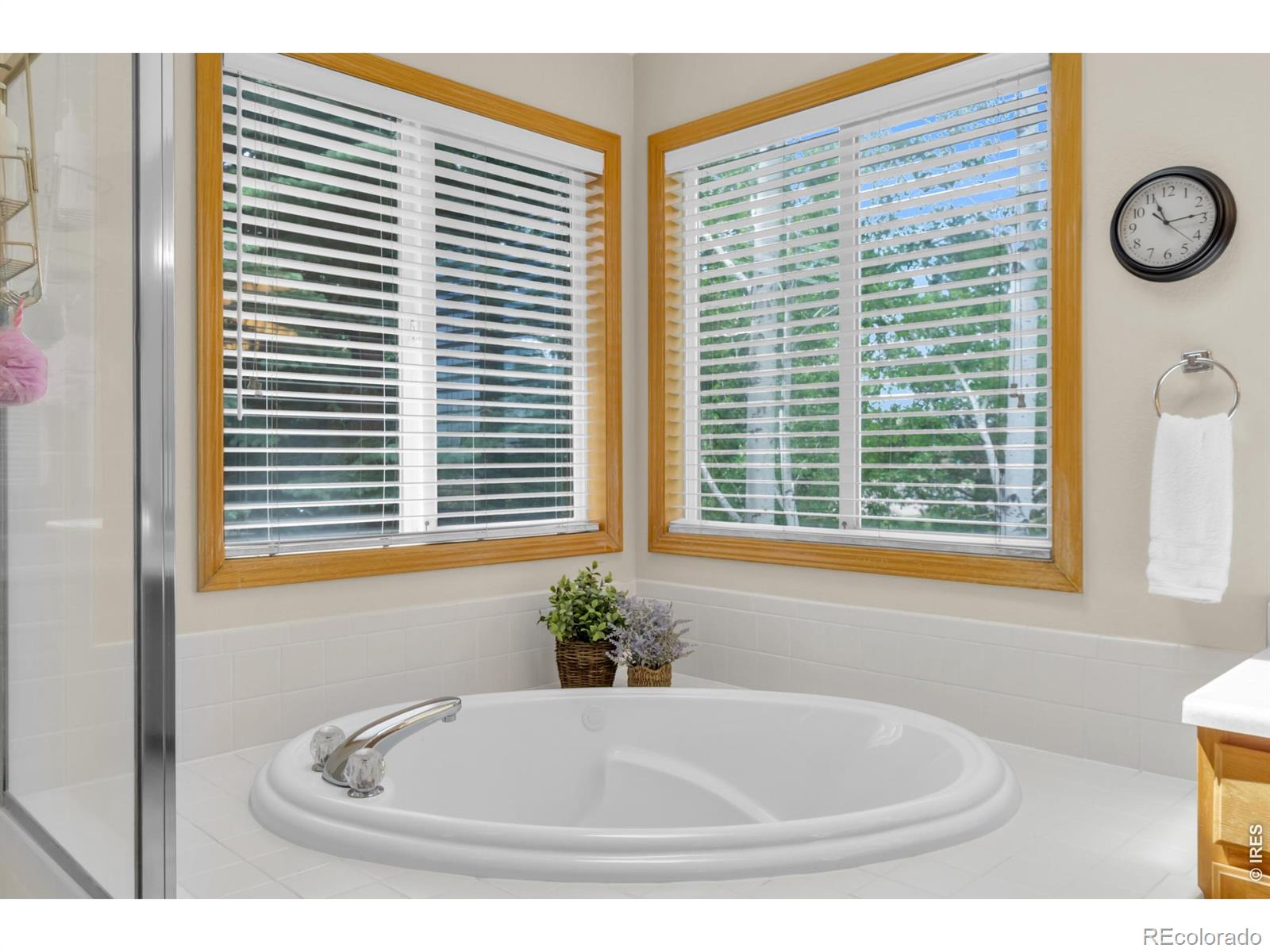 MLS Image #26 for 1321  wildrose court,longmont, Colorado