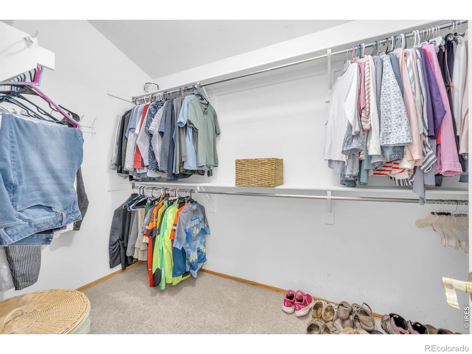 MLS Image #27 for 1321  wildrose court,longmont, Colorado