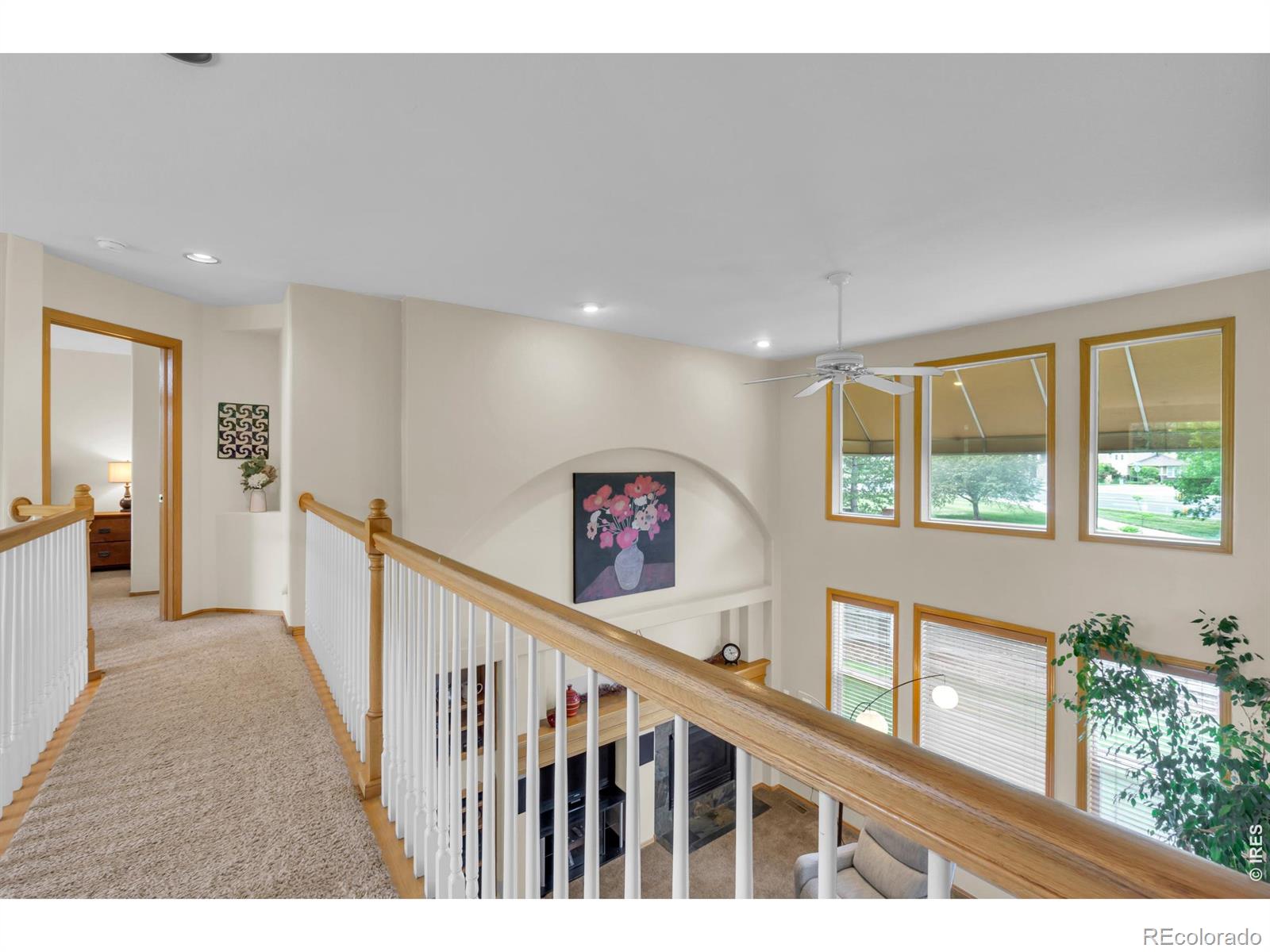 MLS Image #28 for 1321  wildrose court,longmont, Colorado