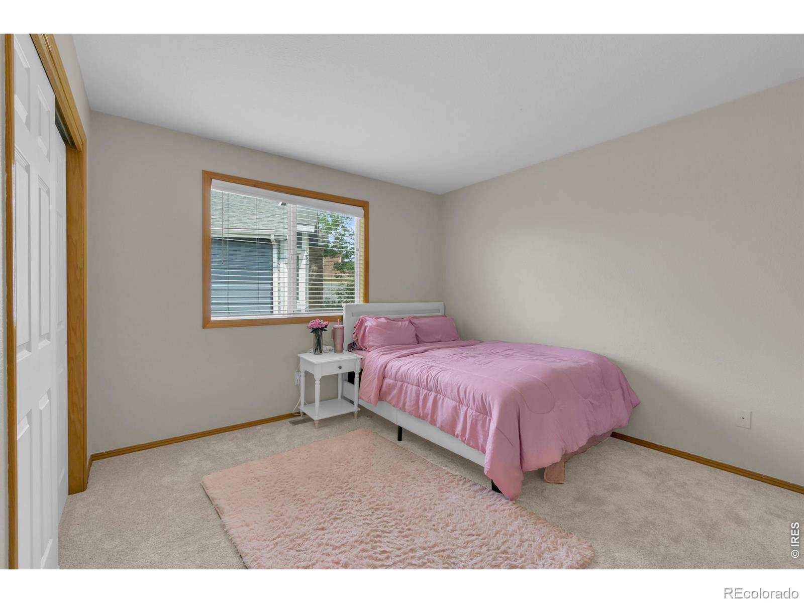 MLS Image #31 for 1321  wildrose court,longmont, Colorado
