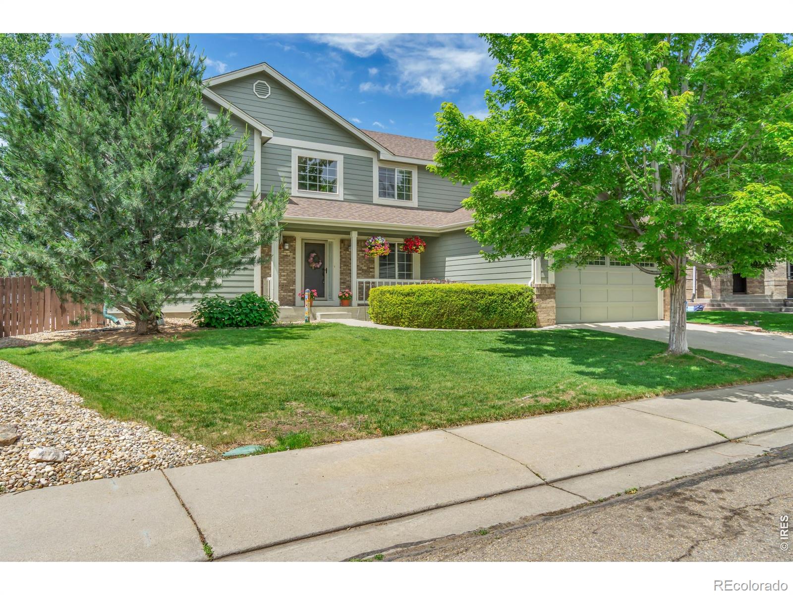 MLS Image #4 for 1321  wildrose court,longmont, Colorado