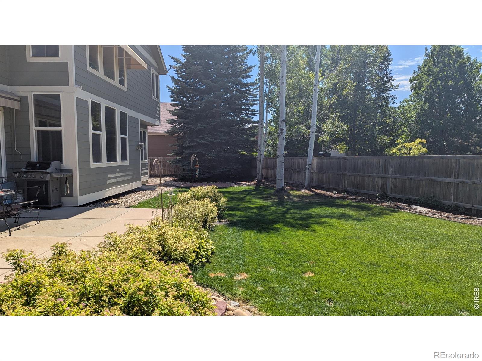 MLS Image #43 for 1321  wildrose court,longmont, Colorado