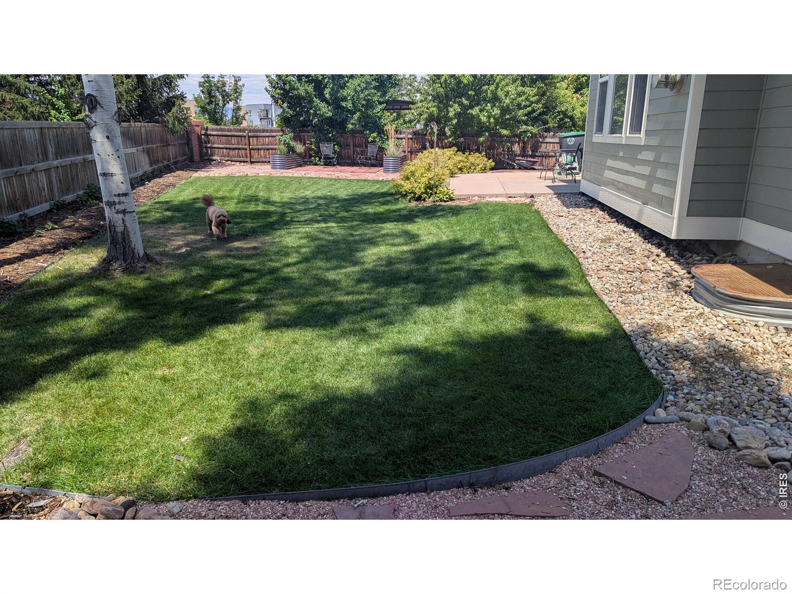 MLS Image #45 for 1321  wildrose court,longmont, Colorado