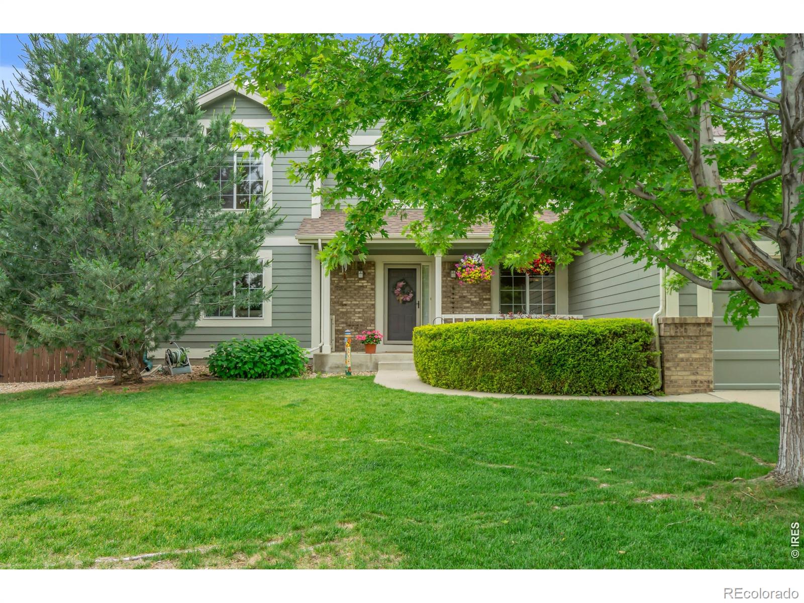 MLS Image #5 for 1321  wildrose court,longmont, Colorado