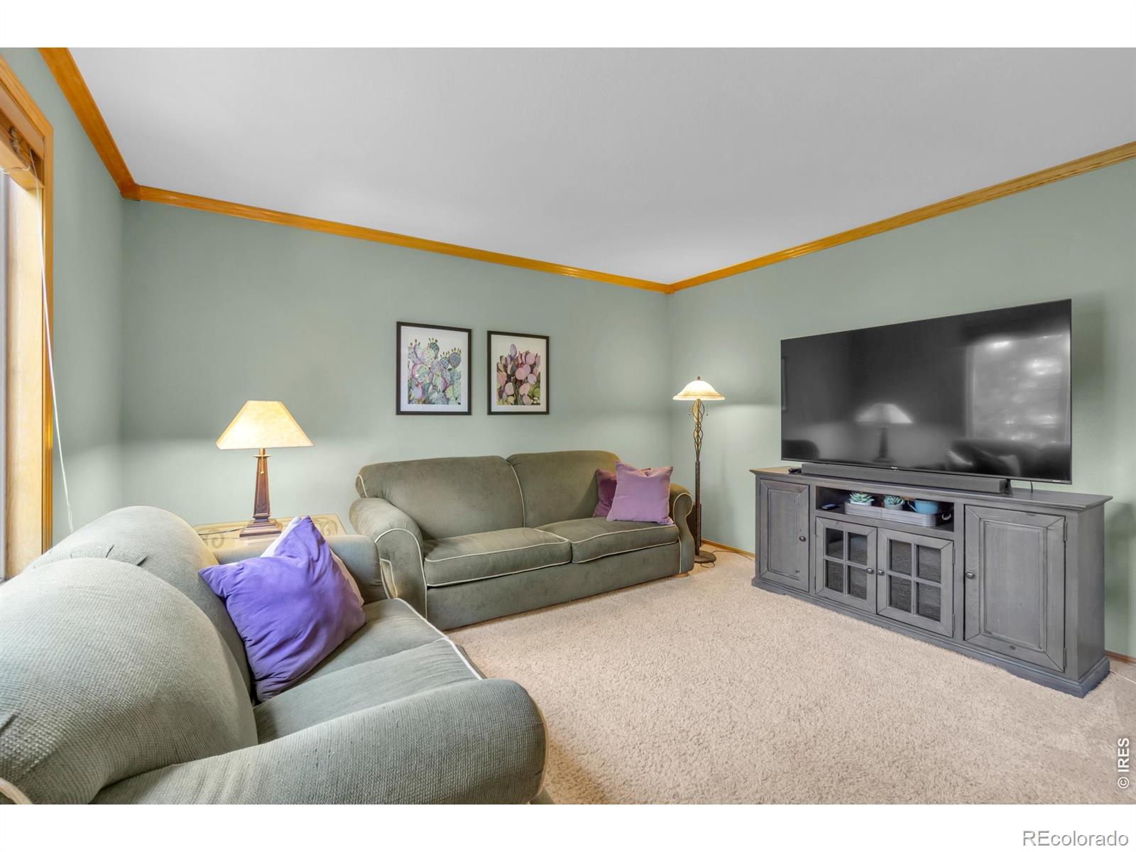 MLS Image #8 for 1321  wildrose court,longmont, Colorado