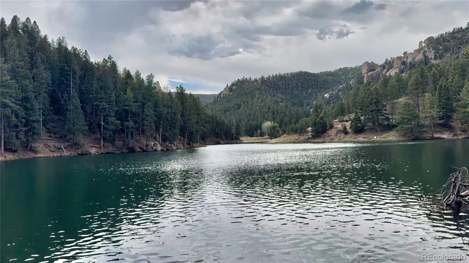 MLS Image #4 for 683  trumbull lane,monument, Colorado