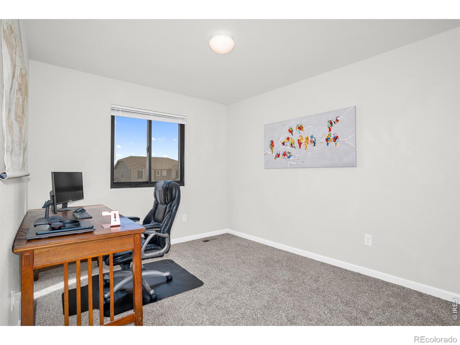 MLS Image #13 for 2871  night sky drive,berthoud, Colorado