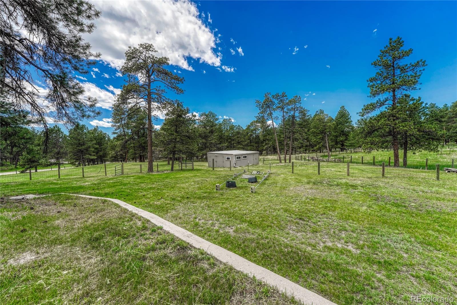 MLS Image #6 for 4649  flicker trail,elizabeth, Colorado