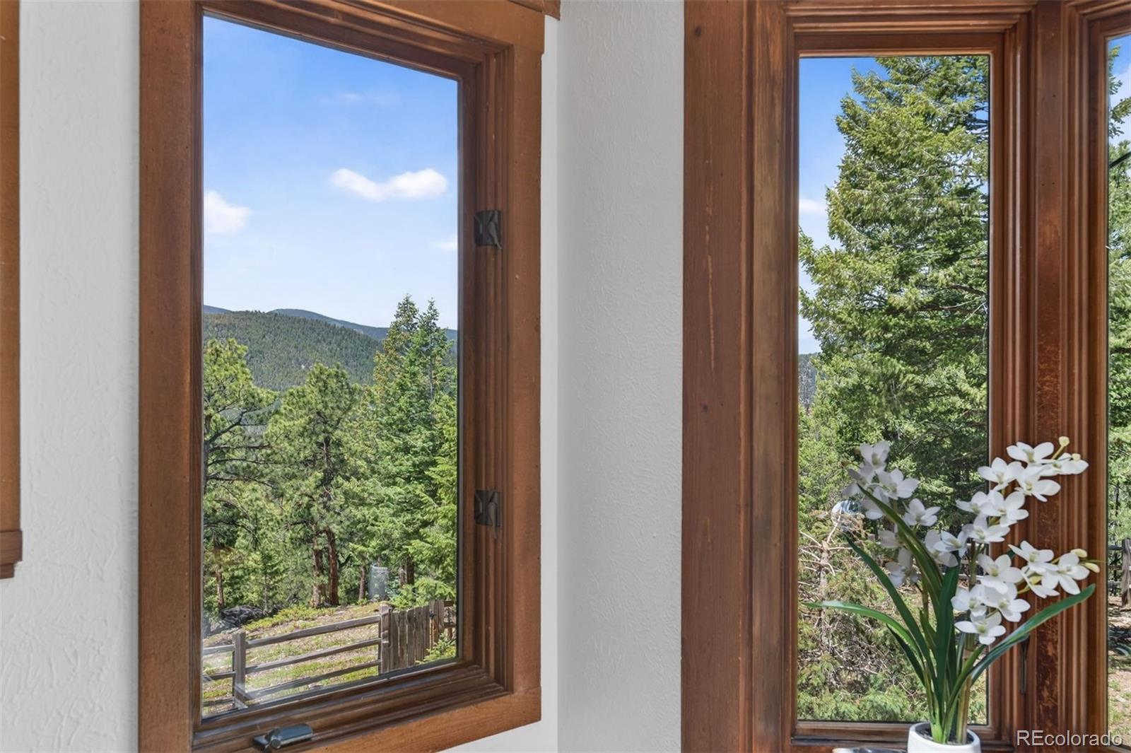 MLS Image #14 for 7637  centaur drive,evergreen, Colorado
