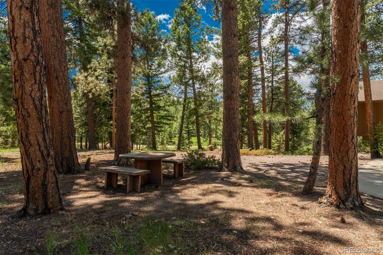 MLS Image #31 for 7637  centaur drive,evergreen, Colorado