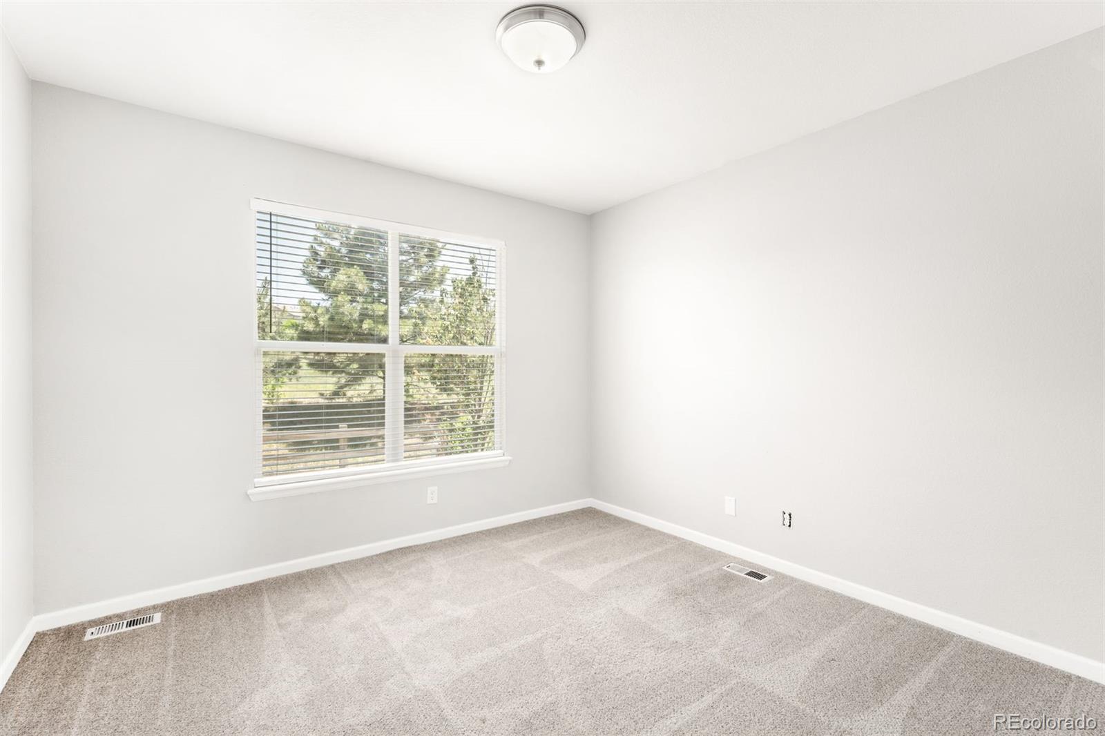 MLS Image #13 for 3406  fantasy place,castle rock, Colorado