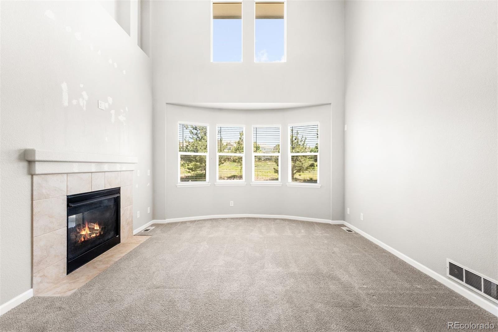MLS Image #4 for 3406  fantasy place,castle rock, Colorado