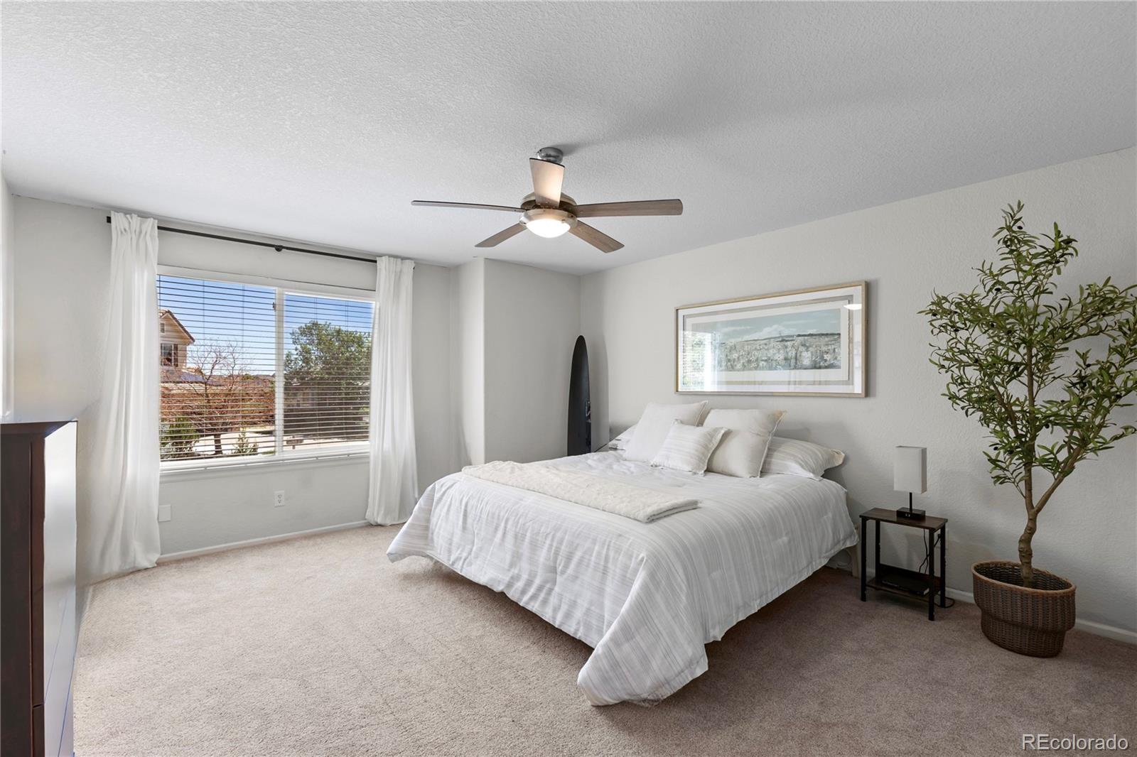 MLS Image #13 for 3050  springbriar drive,castle rock, Colorado