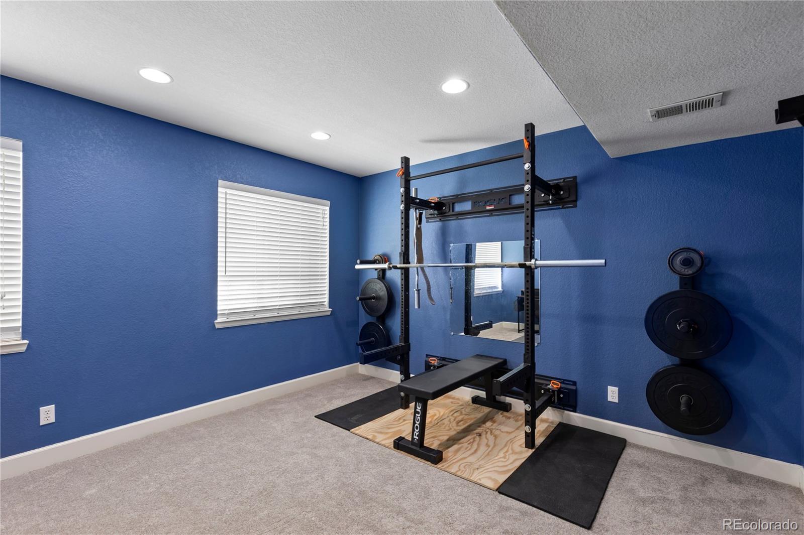 MLS Image #23 for 3050  springbriar drive,castle rock, Colorado